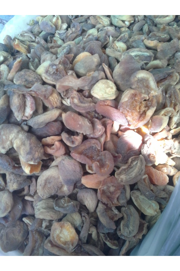 Kompostoluk Kayısı