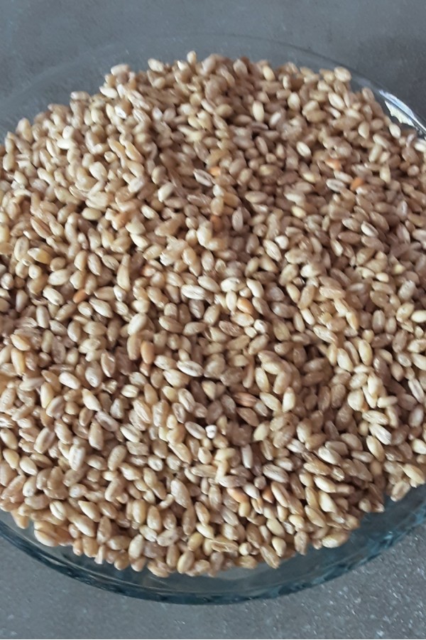 Aşurelik Dövme Buğday 1kg (Buğday Yarması)