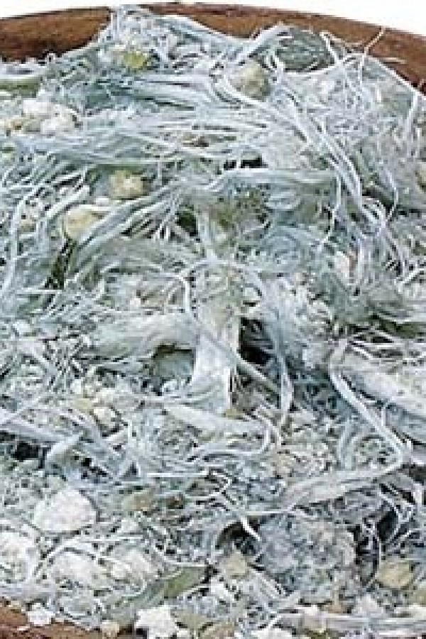 Erzurum Göğermiş Peyniri