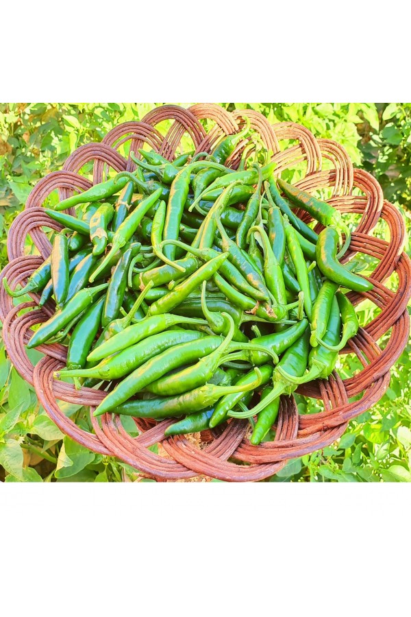 Samandağ Biberi 0.3 Kg