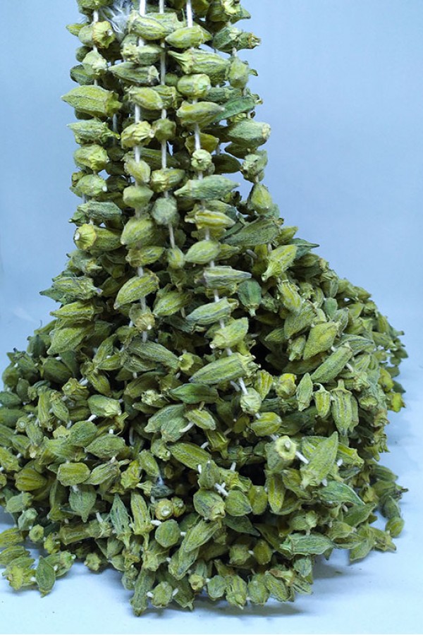 Kuru Çiçek Bamya - 1 Dizi