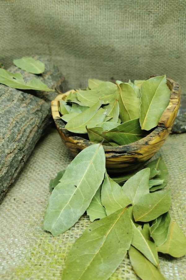 Defne Yaprağı - 100 Gr