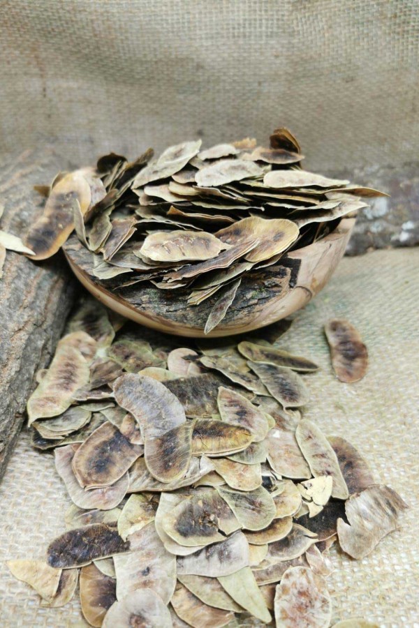 Açlık Otu - 100 Gr