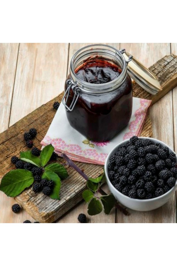 Karaman yöresel kara dut pekmezi