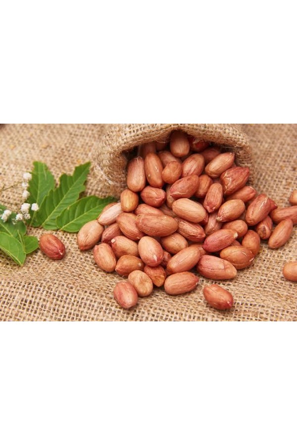 Yer fıstığı (ciğ)