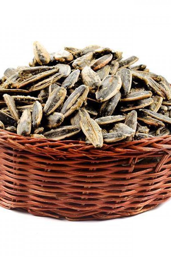 DAKOTA AY ÇEKİRDEĞİ