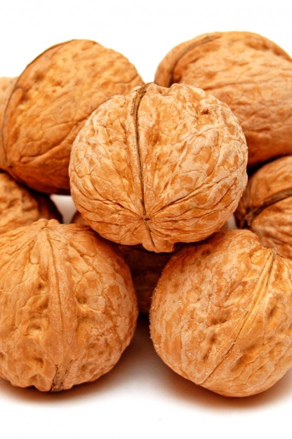 İNCE KABUKLU CEVİZ