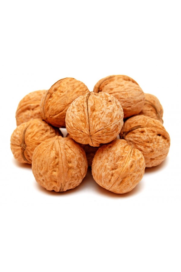 İNCE KABUKLU CEVİZ