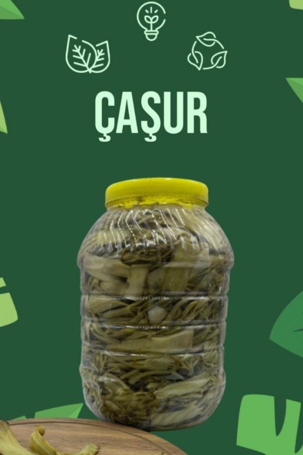 ARTVİN  ÇAŞUR  5(KG)